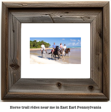 horse trail rides near me in East Earl, Pennsylvania